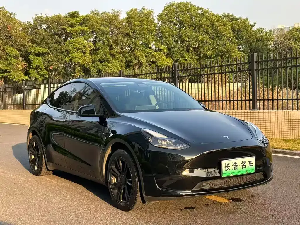 Tesla Model Y — фото 4