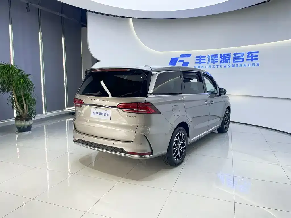 Roewe iMAX8 New Energy 2024 из CN, фото 6