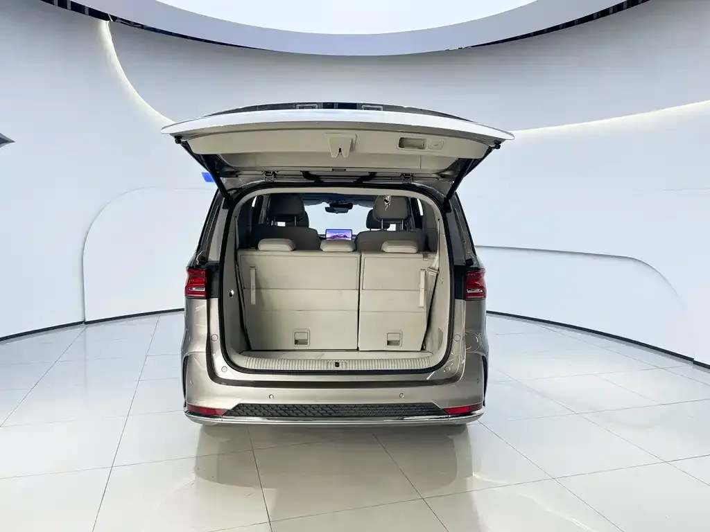 Roewe iMAX8 New Energy 2024 из CN, фото 4