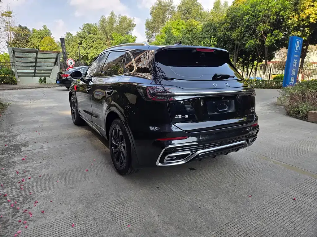 Hongqi HS5 2023 из CN, фото 7