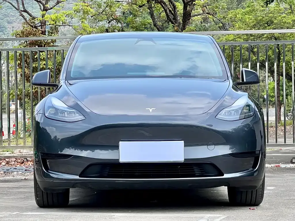 Tesla Model Y 2024 из CN, фото 2