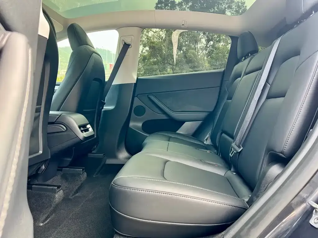 Tesla Model Y 2024 из CN, фото 6