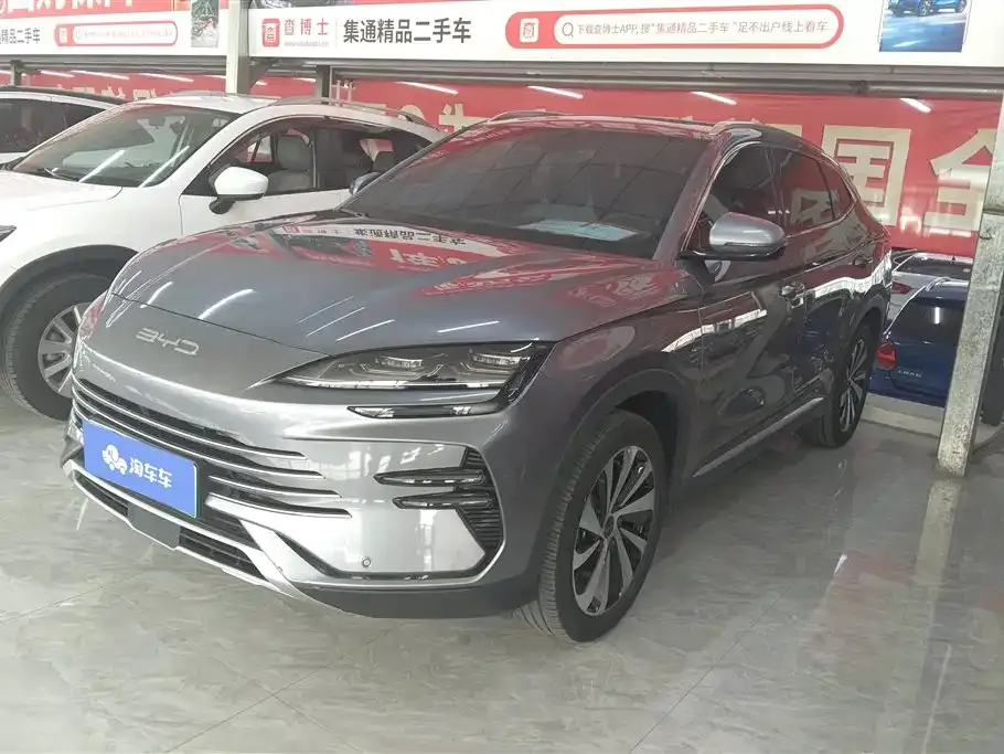 BYD PLUS New Energy — фото 1