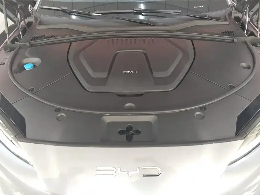 BYD PLUS New Energy — фото 3
