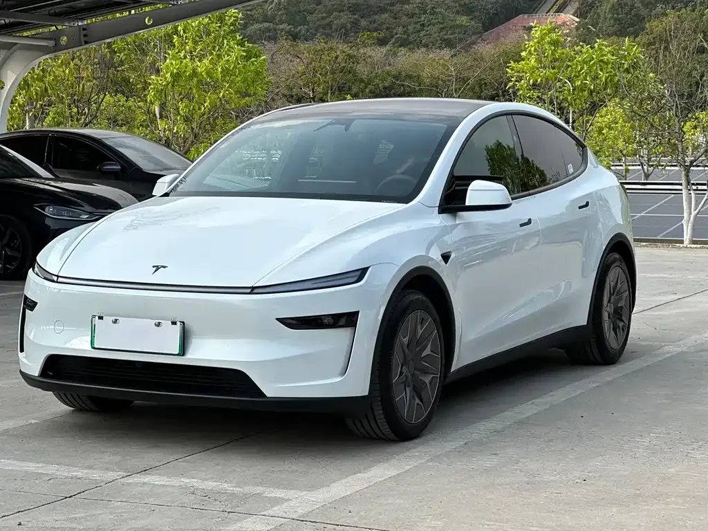 Tesla Model Y L — фото 1