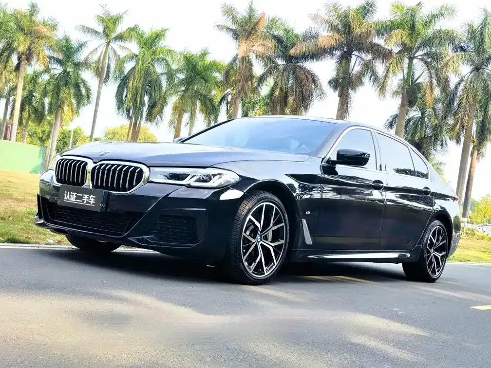 BMW 5 Series 2021 из CN, фото 1