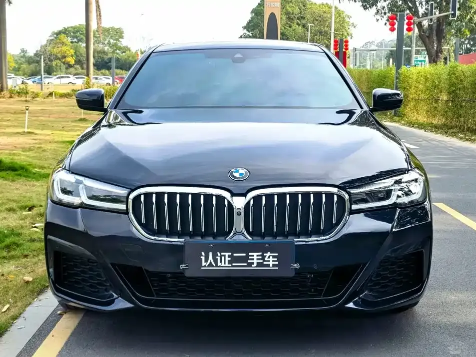 BMW 5 Series 2021 из CN, фото 9