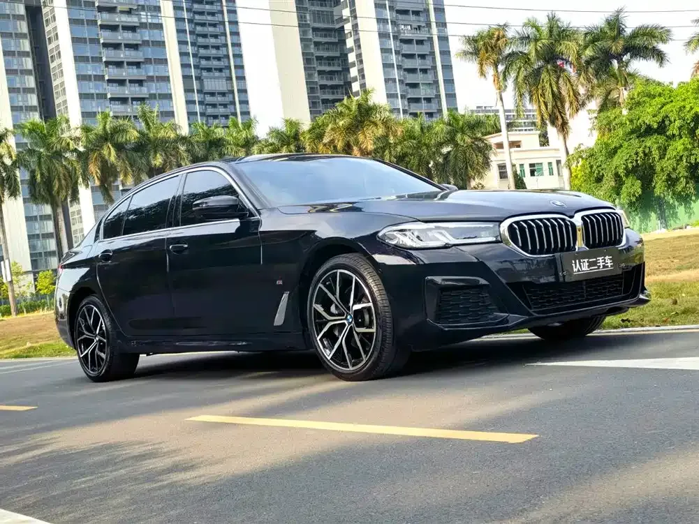 BMW 5 Series 2021 из CN, фото 7