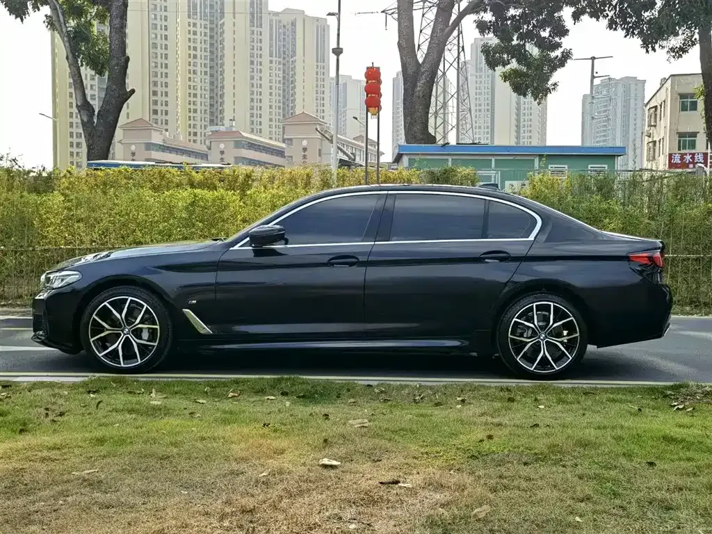 BMW 5 Series 2021 из CN, фото 3
