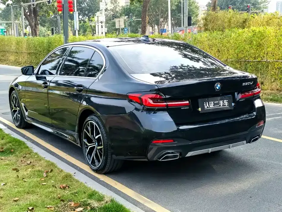 BMW 5 Series 2021 из CN, фото 8