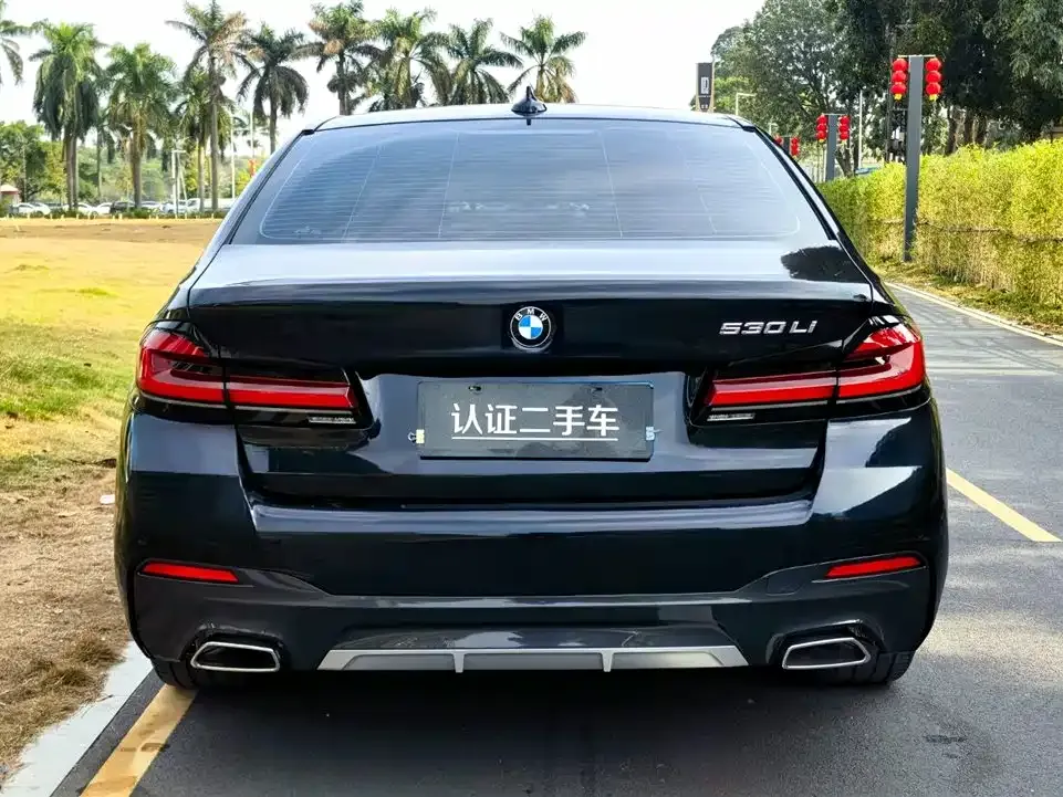 BMW 5 Series 2021 из CN, фото 4