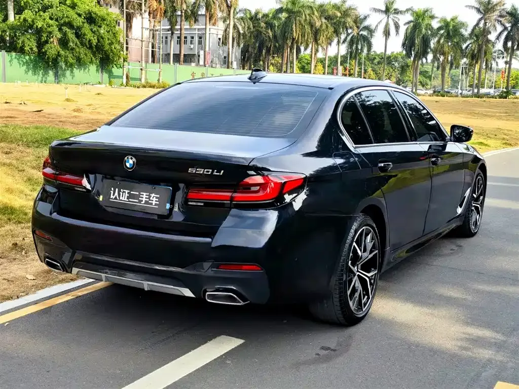 BMW 5 Series 2021 из CN, фото 6