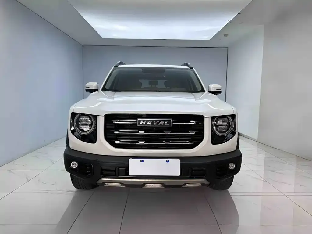 Haval Big Dog 2021 из CN, фото 3