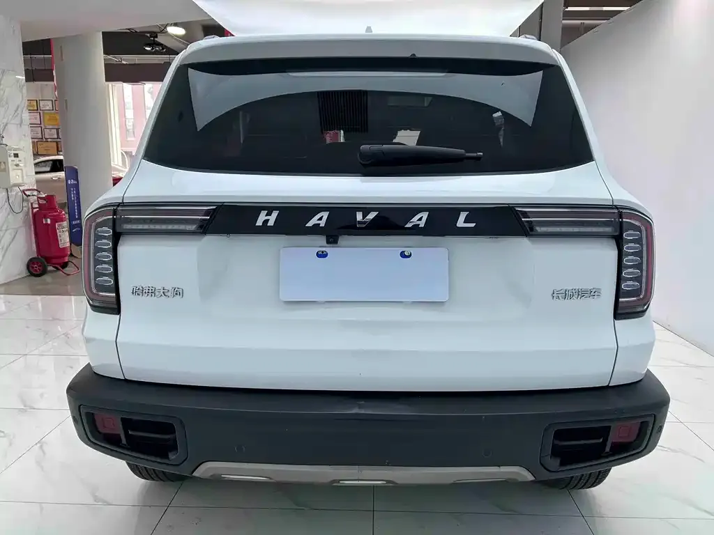 Haval Big Dog 2021 из CN, фото 2