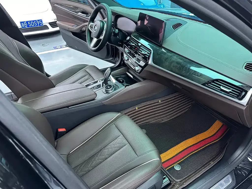 BMW 5 Series 2021 из CN, фото 9