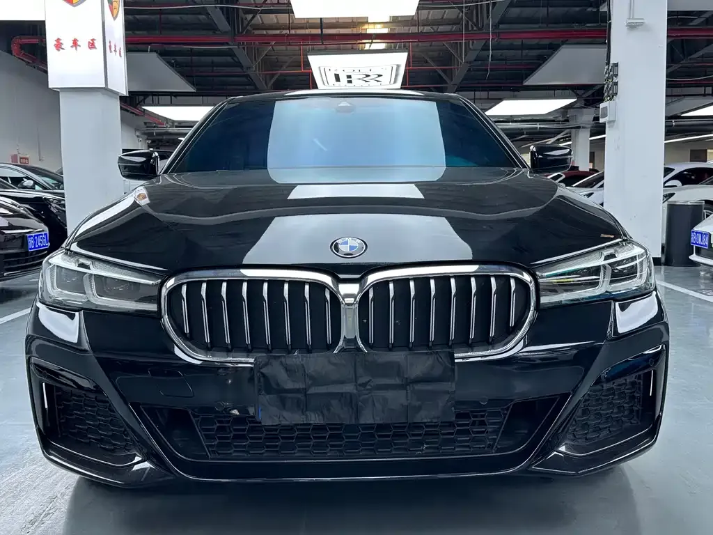 BMW 5 Series 2021 из CN, фото 2