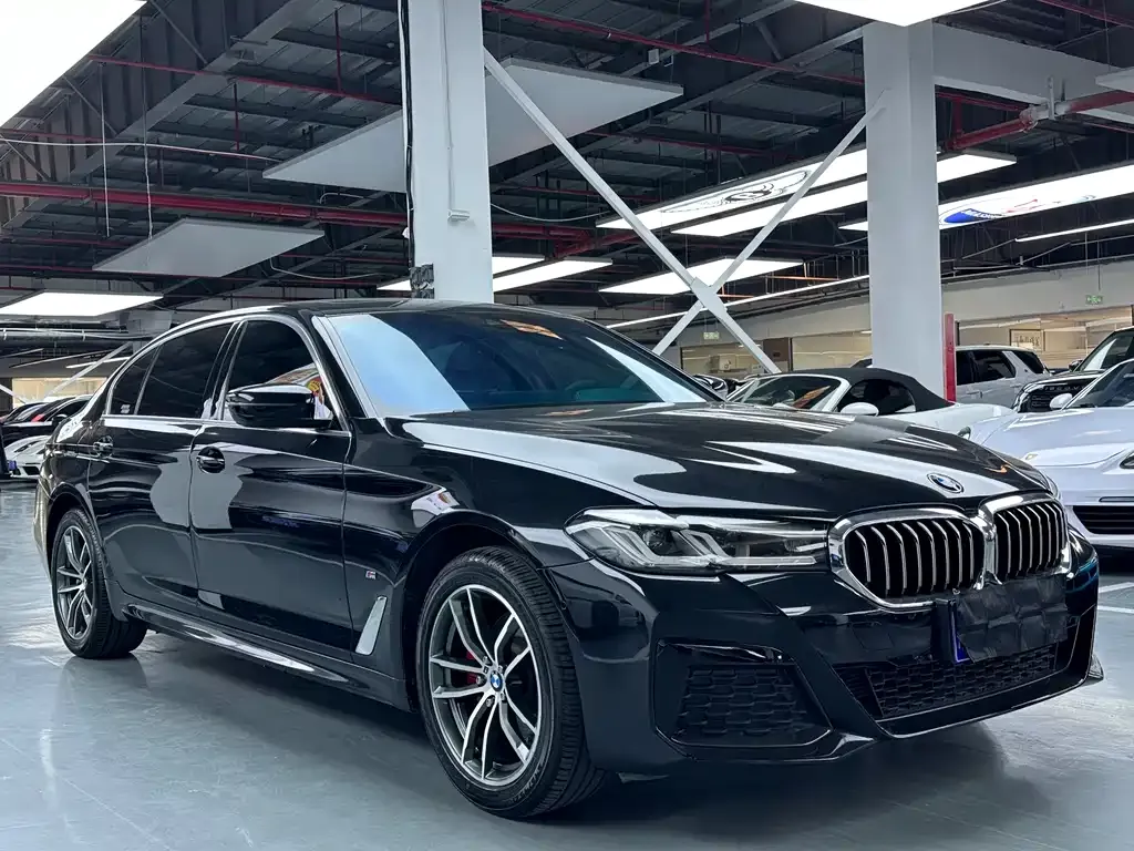 BMW 5 Series 2021 из CN, фото 5