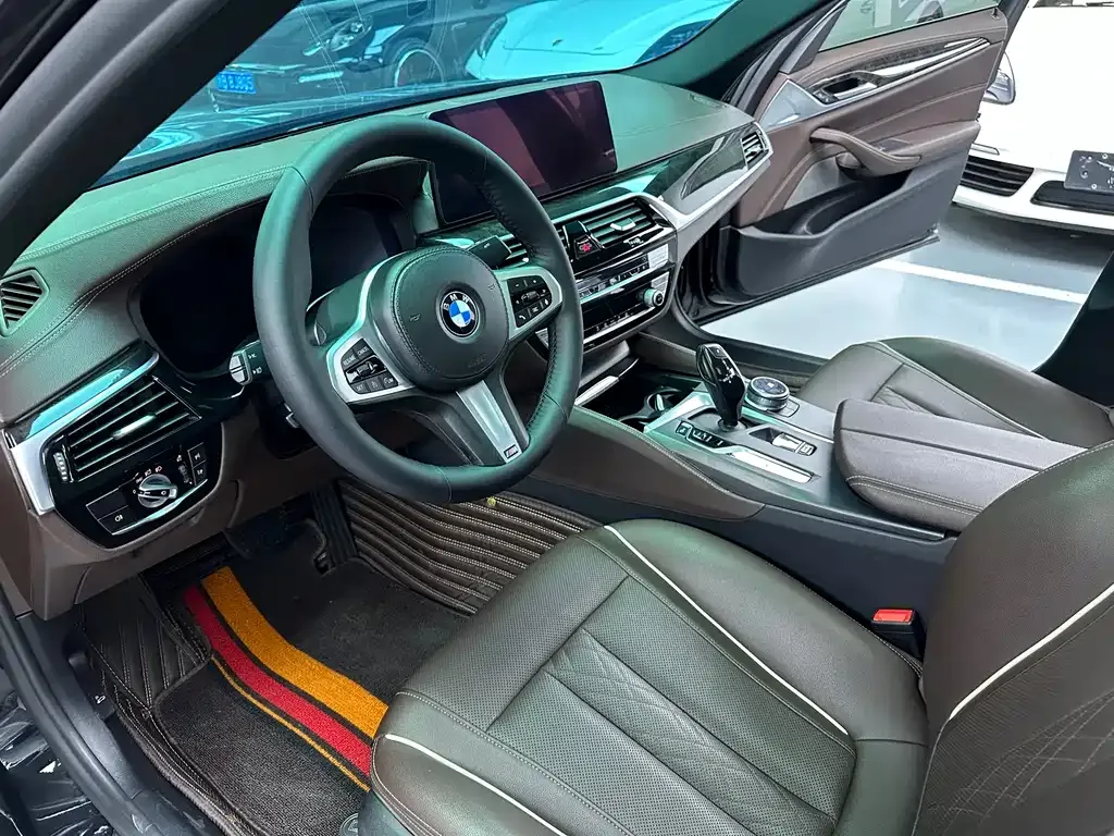 BMW 5 Series 2021 из CN, фото 4