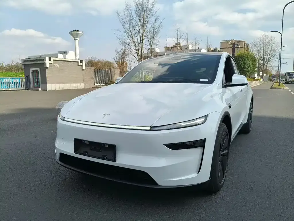 Tesla Model Y — фото 1