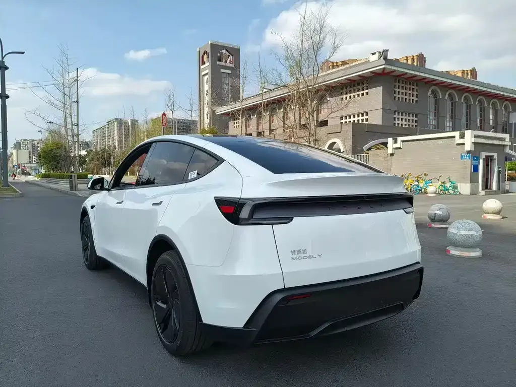 Tesla Model Y — фото 9