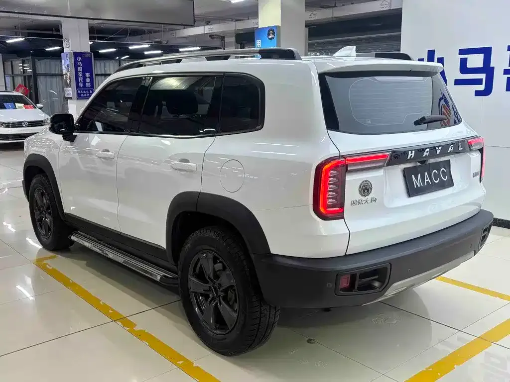 Haval Big Dog — фото 8