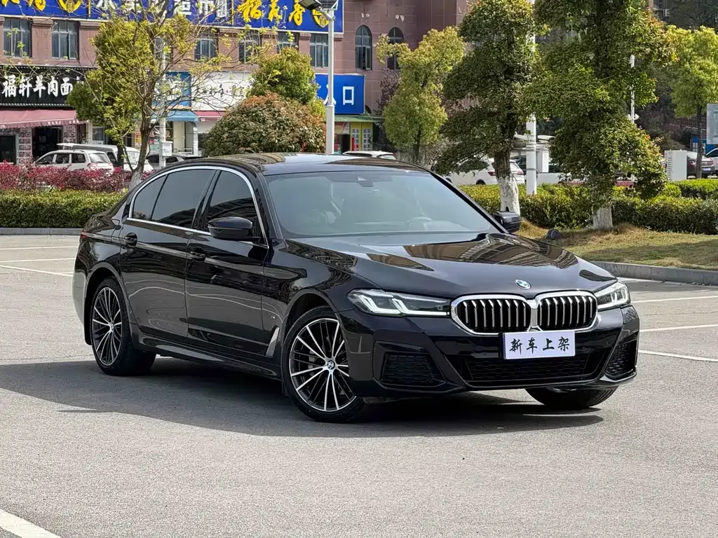 BMW 5 Series 2022 из CN, фото 5
