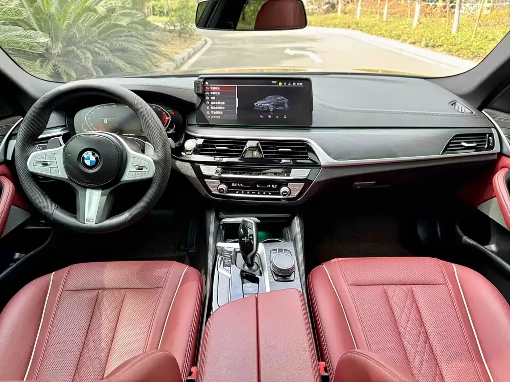 BMW 5 Series 2022 из CN, фото 8