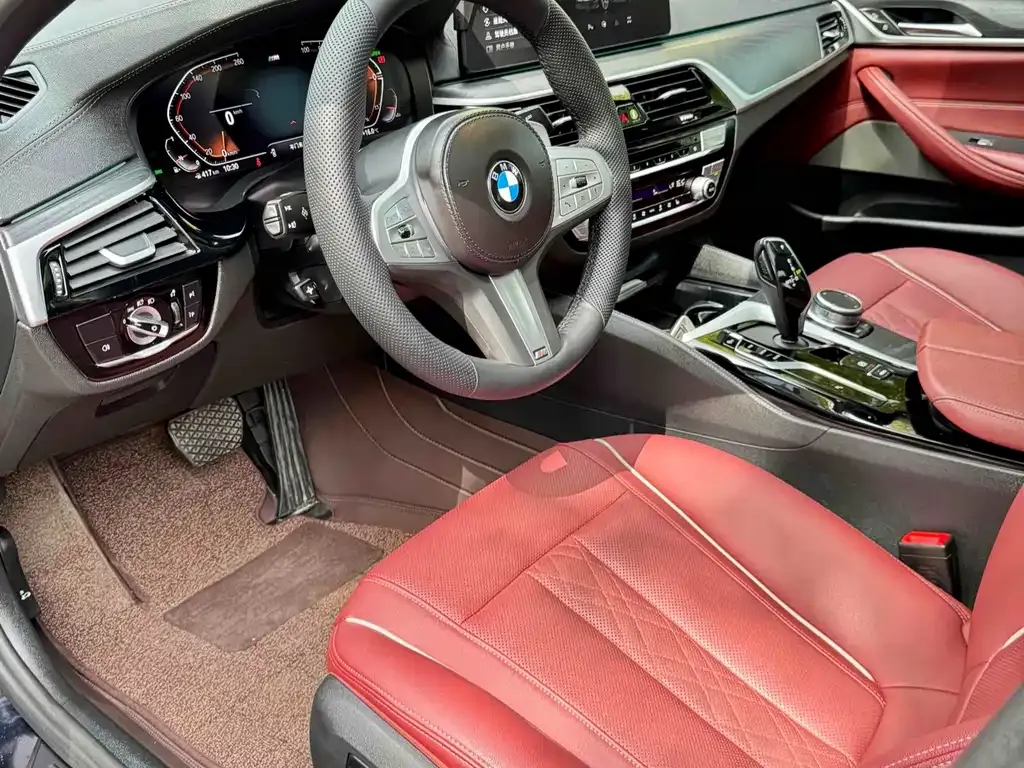 BMW 5 Series 2022 из CN, фото 6