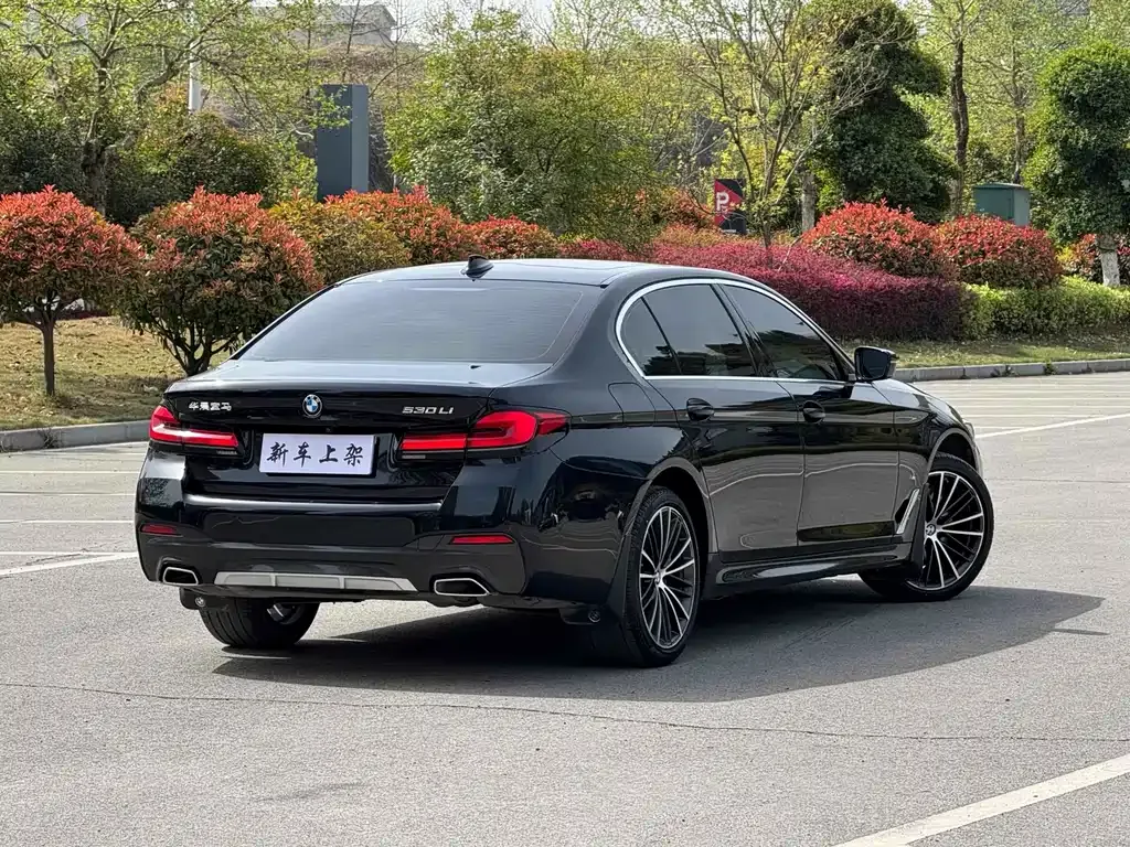 BMW 5 Series 2022 из CN, фото 7
