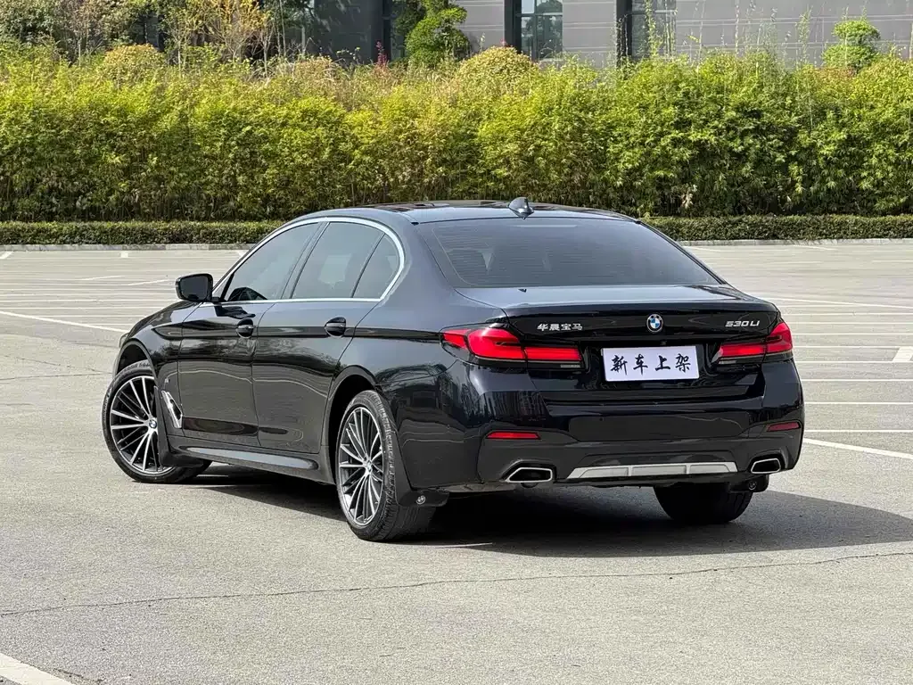 BMW 5 Series 2022 из CN, фото 9