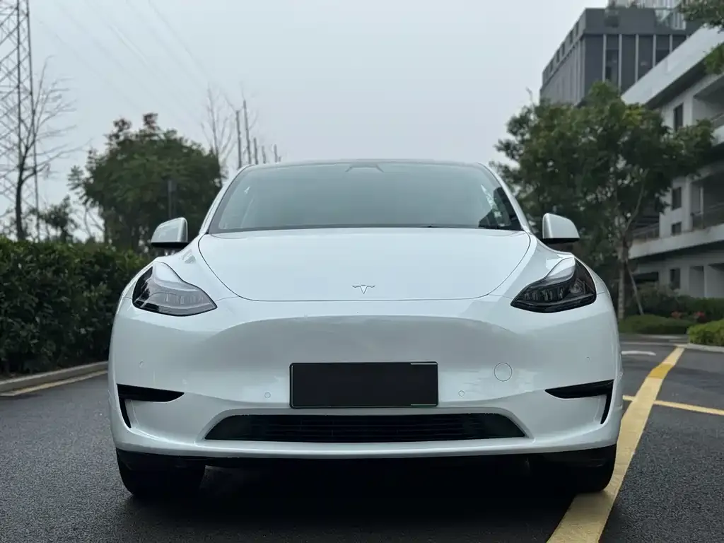Tesla Model Y — фото 3