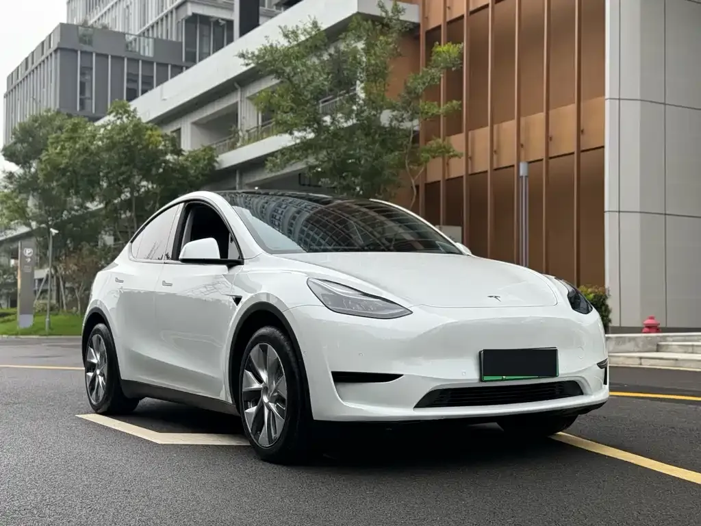 Tesla Model Y — фото 8
