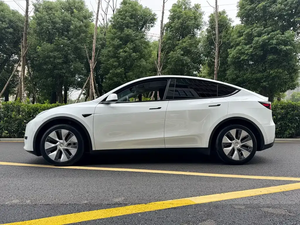 Tesla Model Y — фото 10