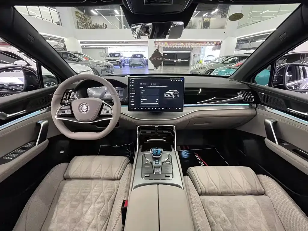 BYD Tang New Energy 2025 из CN, фото 8