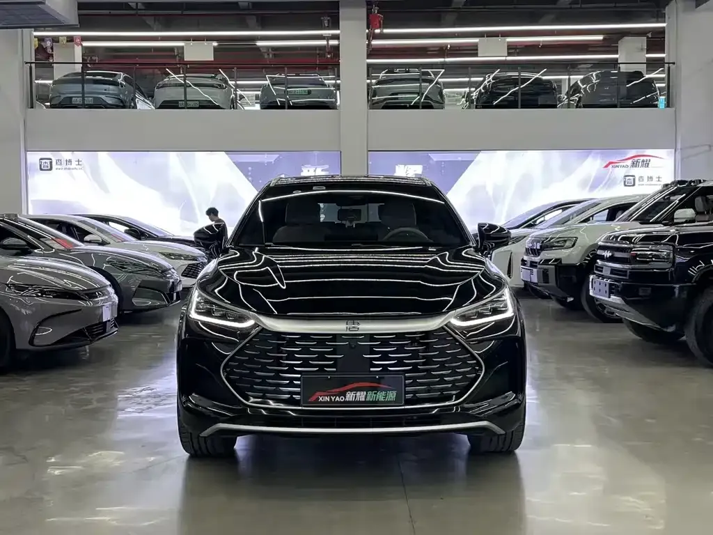 BYD Tang New Energy 2025 из CN, фото 6