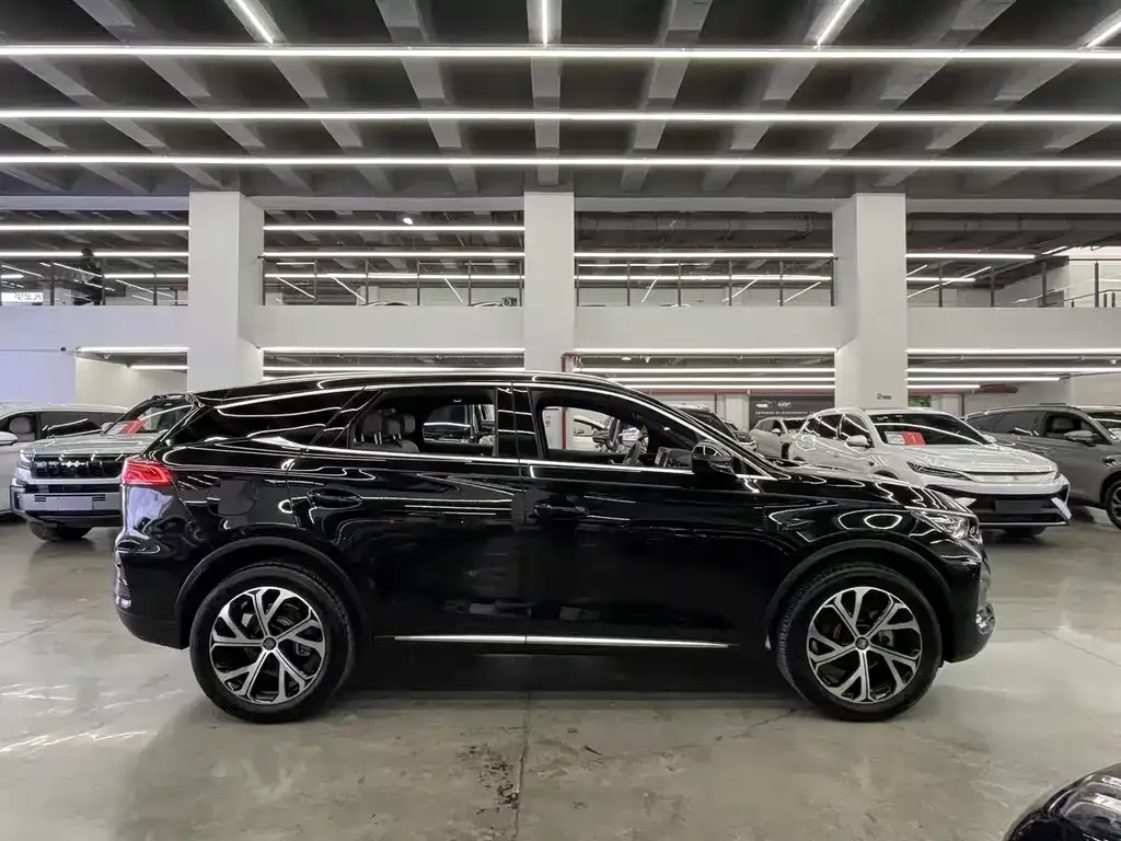 BYD Tang New Energy 2025 из CN, фото 9