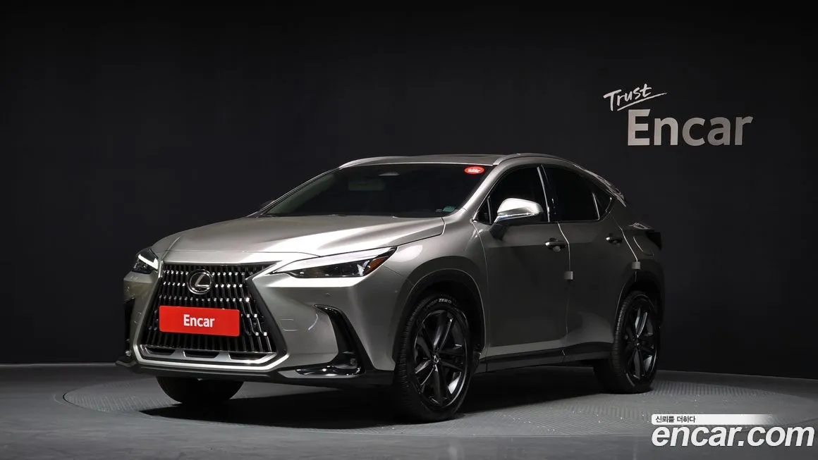 Lexus NX 2024 из KR, фото 1