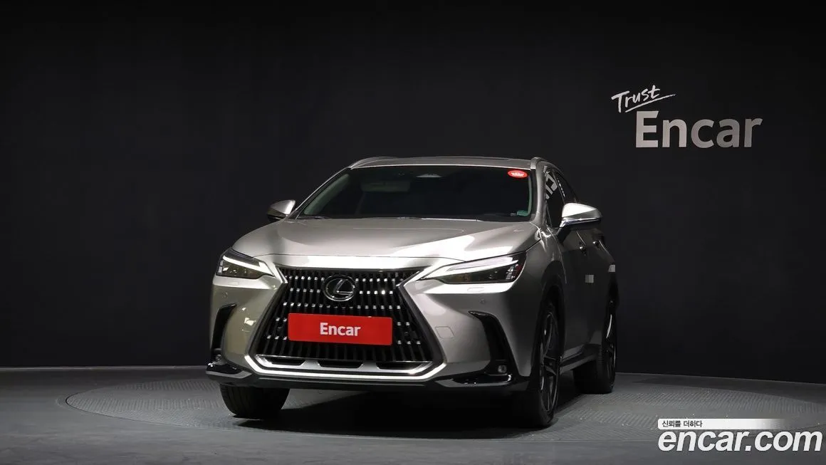 Lexus NX 2024 из KR, фото 8