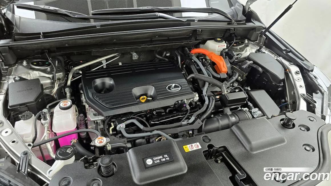 Lexus NX 2024 из KR, фото 5