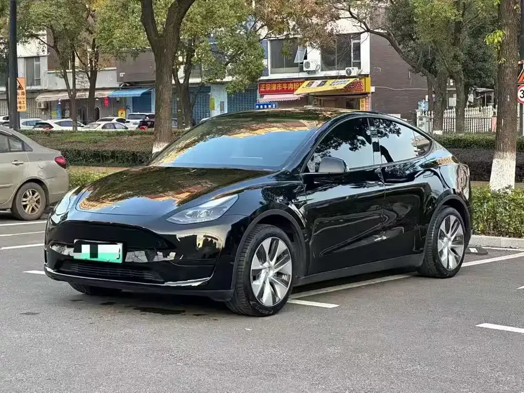 Tesla Model Y — фото 8