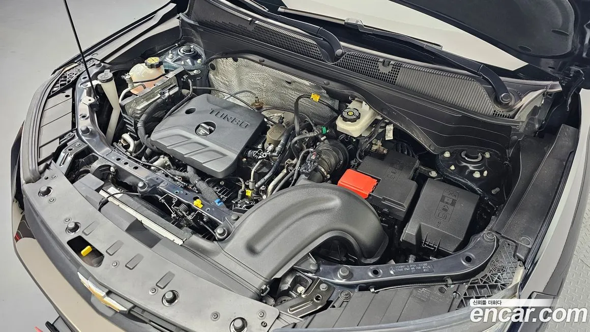 Chevrolet (GM Daewoo) Trailblazer 2021 из KR, фото 8
