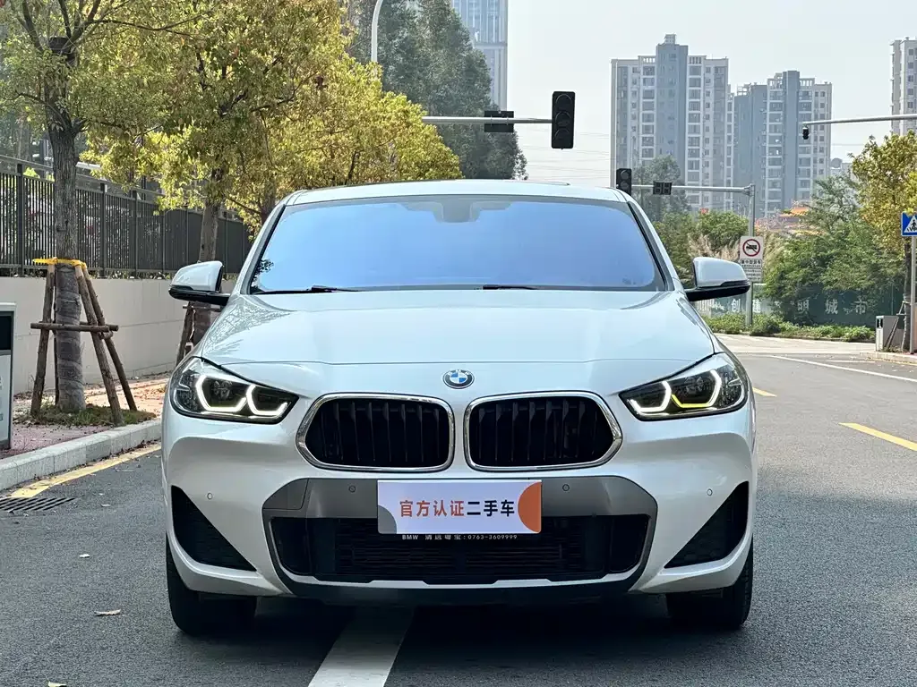 BMW X2 2021 из CN, фото 9