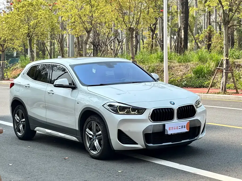BMW X2 2021 из CN, фото 5