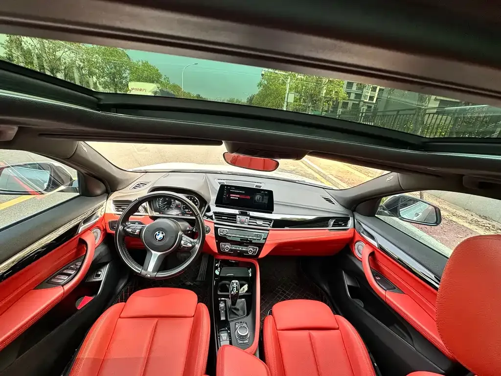 BMW X2 2021 из CN, фото 2