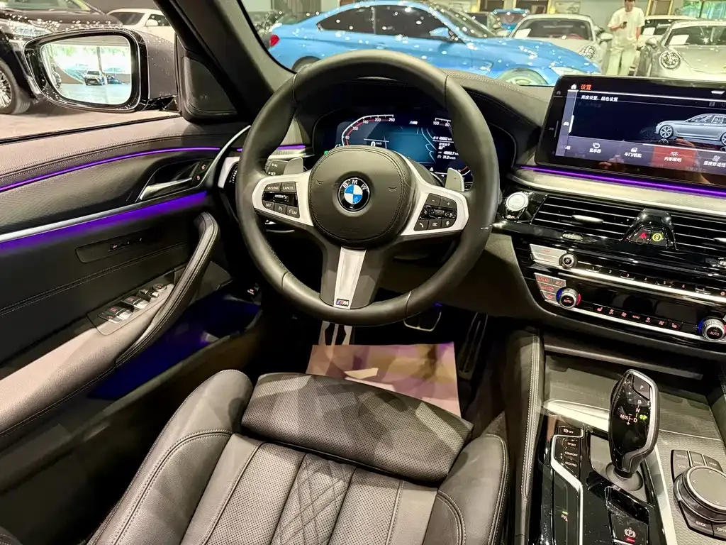 BMW 5 Series (Import) — фото 10