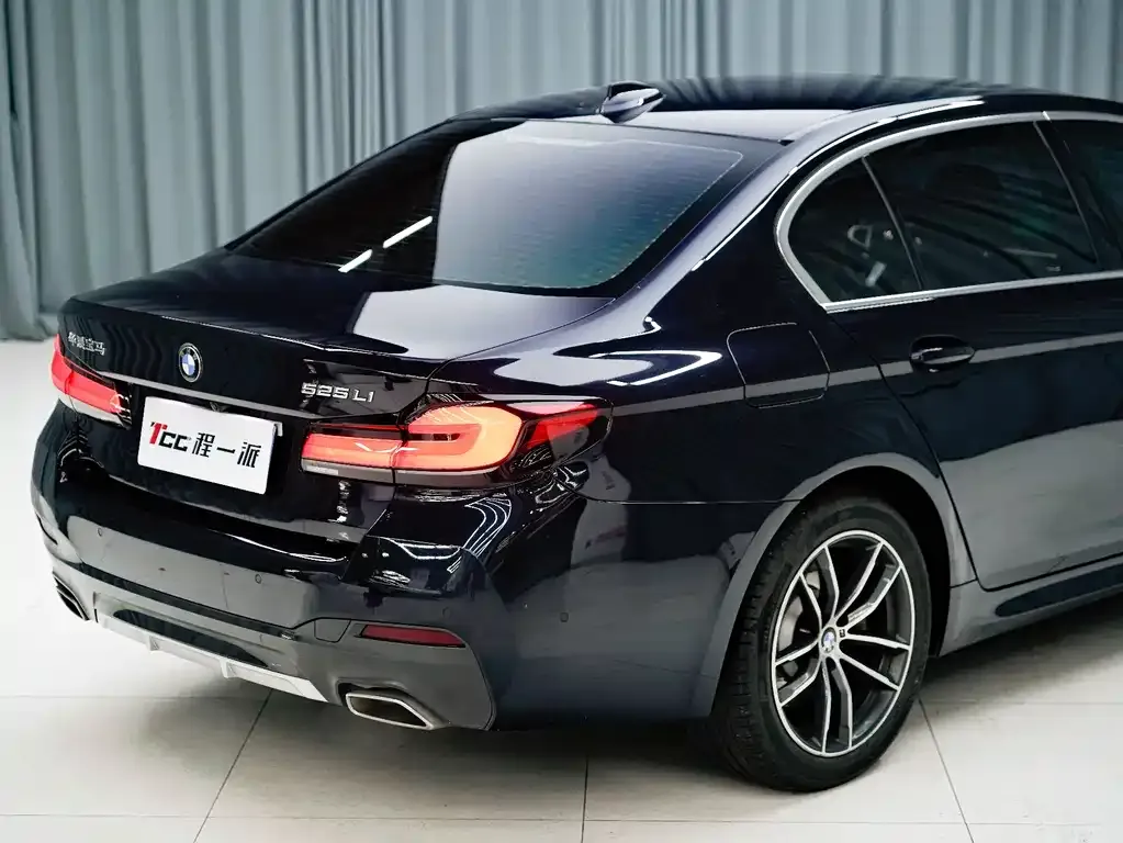 BMW 5 Series — фото 5