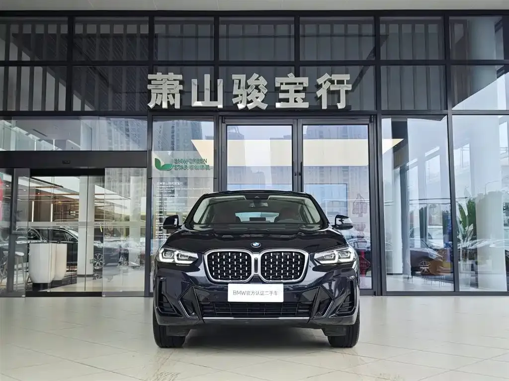 BMW X4 2025 из CN, фото 10