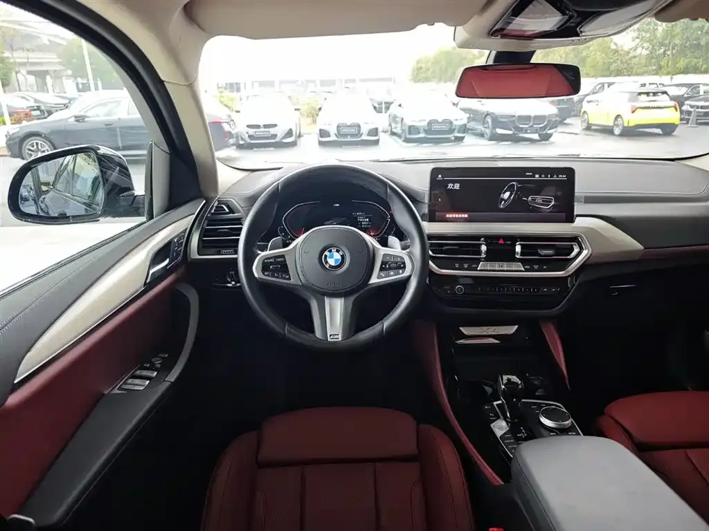 BMW X4 2025 из CN, фото 5