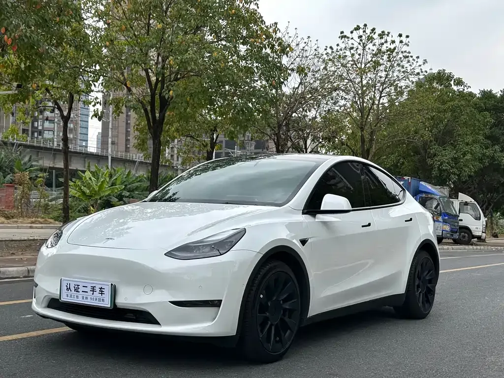 Tesla Model Y — фото 1