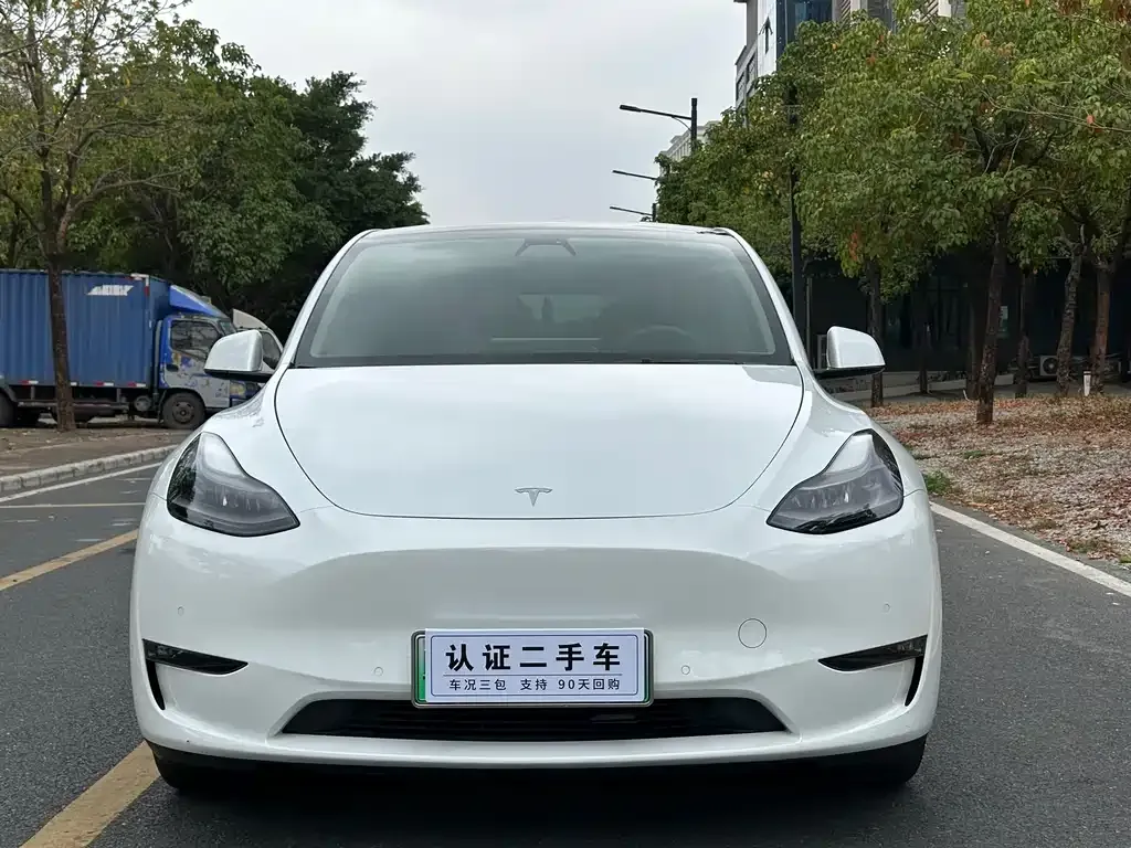 Tesla Model Y — фото 3
